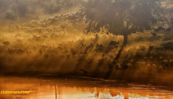 ابرهایی روی زمین!(عکس)