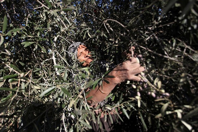 دیدنی های امروز