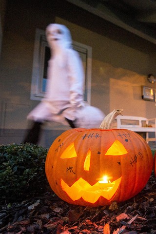 دیدنی های امروز