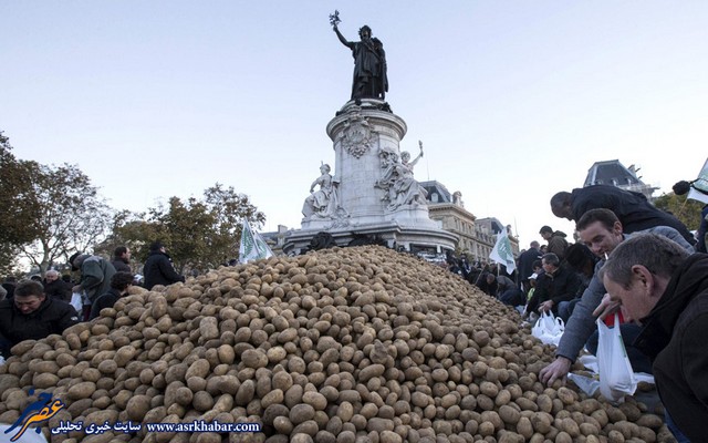 اعتراض با سیب زمینی (عکس)