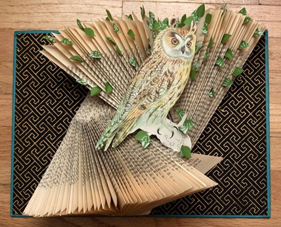 کتاب فقط برای خواندن نیست! (عکس)