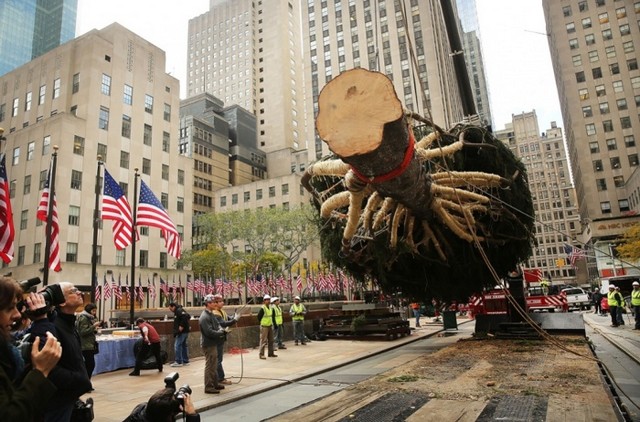 دیدنی های امروز