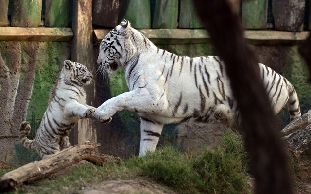 دیدنی های امروز