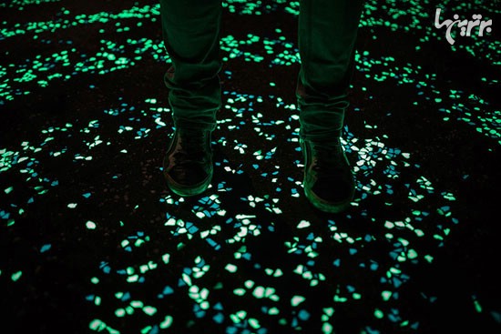 رویایی‌ترین مسیر دوچرخه سواری (عکس)