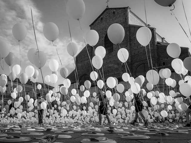 دیدنی های امروز