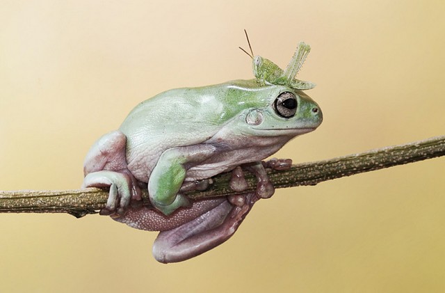 دیدنی های امروز