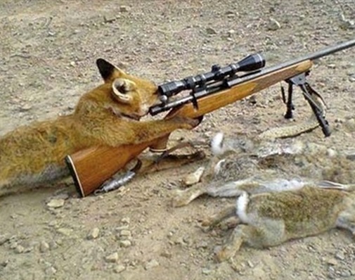 آخرین شکارهای جاسم کرار(عکس)