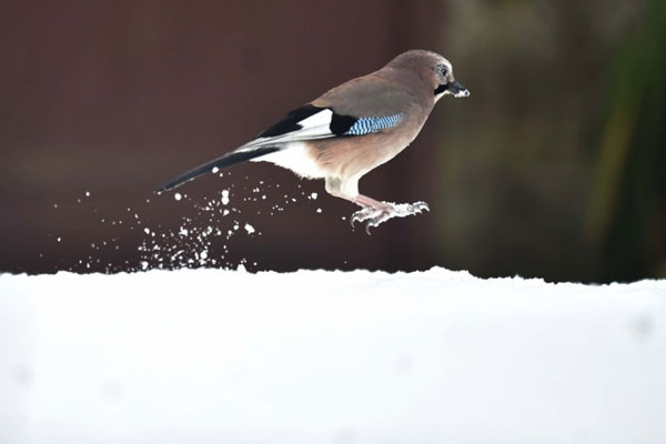 دیدنی های امروز