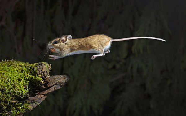 دیدنی های امروز