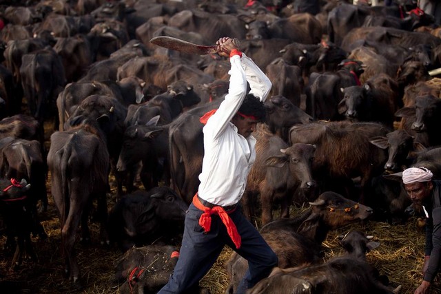 دیدنی های امروز