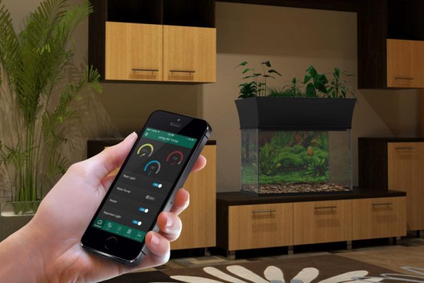 مدفوع ماهی را از طریق این اپلیکیشن به غذا تبدیل کنید!