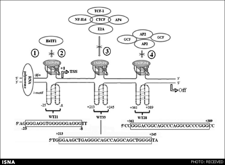 پروژه قفل ژن برای اولین بار در ایران اجرا شد