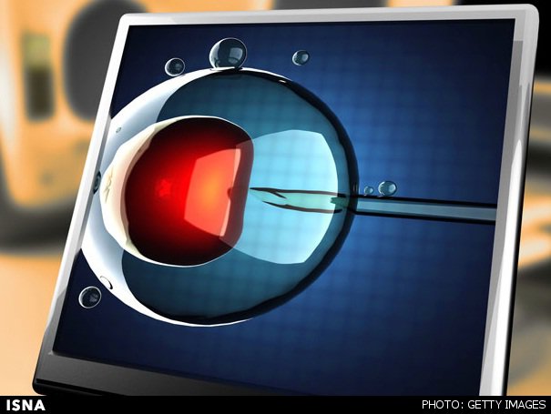 پروژه ویرایش ژنی جنین‌های انسانی کلید خورد