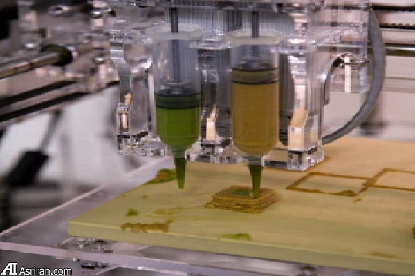 غذاهای سفارشی چاپ شده برای سربازان آینده غذاهای سفارشی چاپ شده برای سربازان آینده