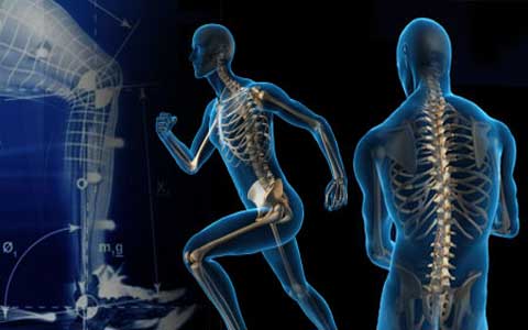 شکاف میان ورزش و علم کاهش یافته است