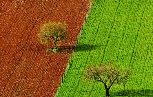 محیط زیست ایران در 2 سالگي دولت یازدهم