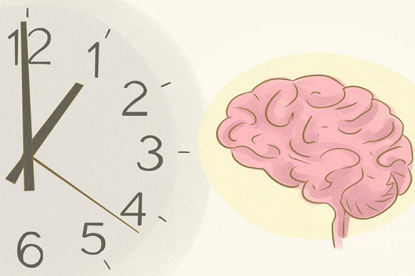 چگونه مغز خود را از نو برنامهریزی کنیم؟ چگونه مغز خود را از نو برنامهریزی کنیم؟