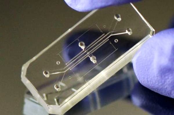 «اندامهای انسانی بر روی تراشه» برترین طراحی جهان در سال ۲۰۱۵