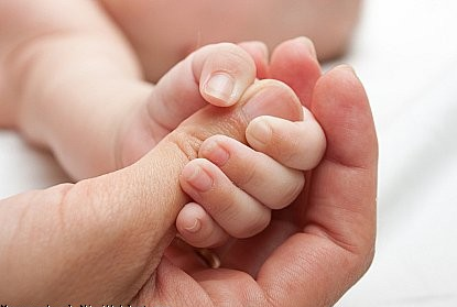 استقبال بانوان از فراخوان «نوازش»