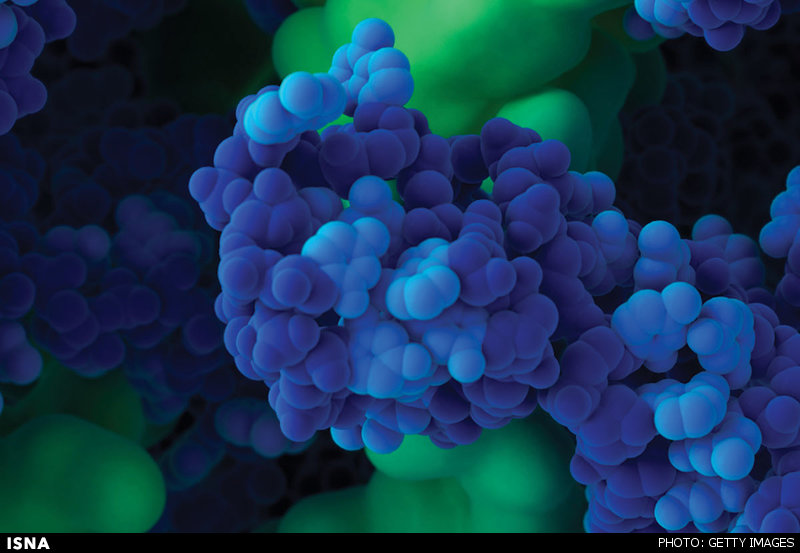 انتشار تصویر ویروس زیکا از نمای نزدیک