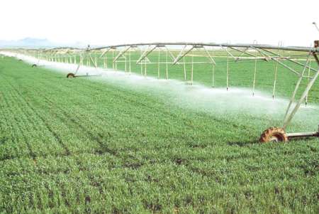 با تغییر الگوی كشت به حفظ منابع آبی كمك كنیم