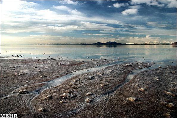 ابتکار در گفتگو با 