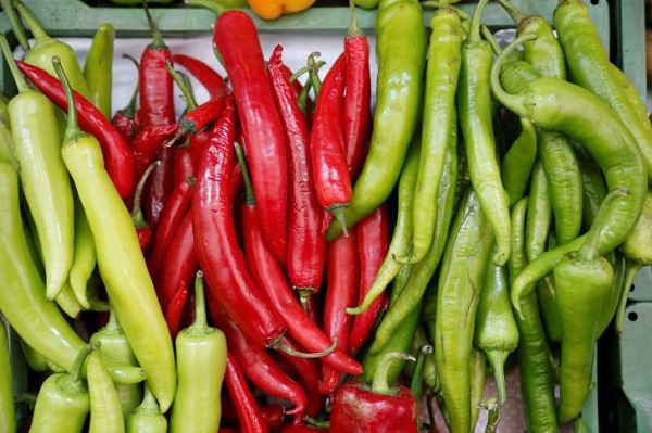 فلفل به مقابله با یک نوع مهاجم سرطان پستان می&zwnj;رود