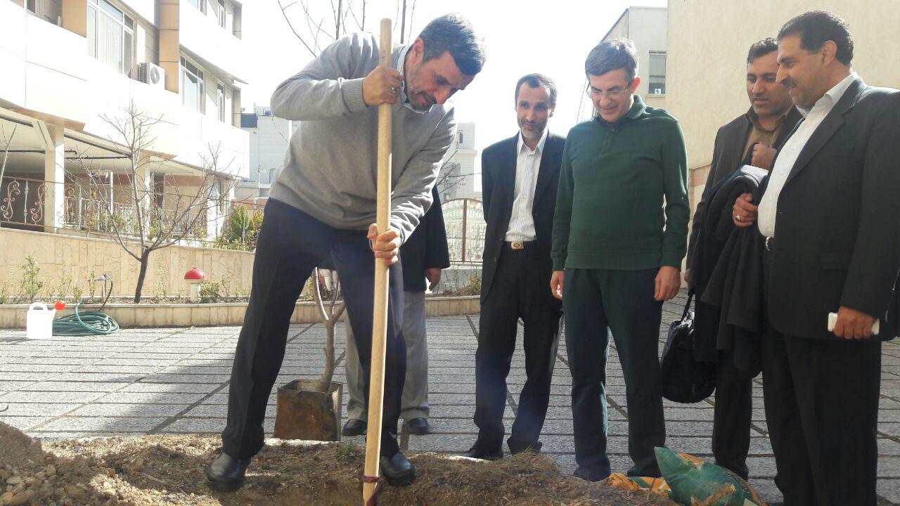 چرا احمدی نژاد و مشایی رابطه خود را علنی کردند؟ چرا احمدی نژاد و مشایی رابطه خود را علنی کردند؟