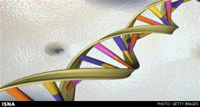 کشف ژنی که انسان را جوانتر نشان میدهد کشف ژنی که انسان را جوانتر نشان میدهد