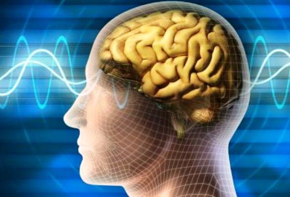 بازگرداندن حافظه با ایمپلنتهای مغزی