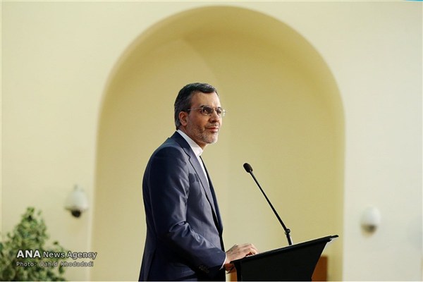 وزارت خارجه: اگر شرایط طبیعی فراهم نشود امکان برگزاری حج وجود ندارد/ دیدار ظریف با تعدادی از نمایندگان کنگره آمریکا