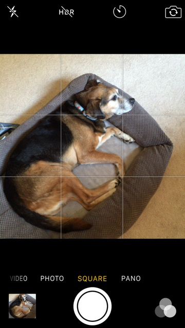 6 ترفند برای عکاسی بهتر با آیفون