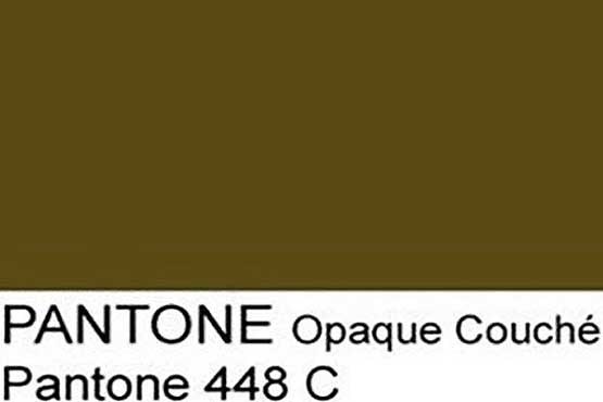 زشت‌ترین رنگ جهان!