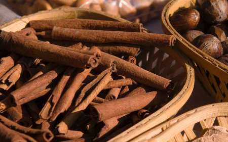 دارچین اکسیر افزایش حافظه و توانایی یادگیری