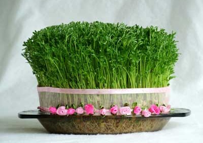 به حرمت آب و آیینه، به پاسداشت بهار #میبخشم