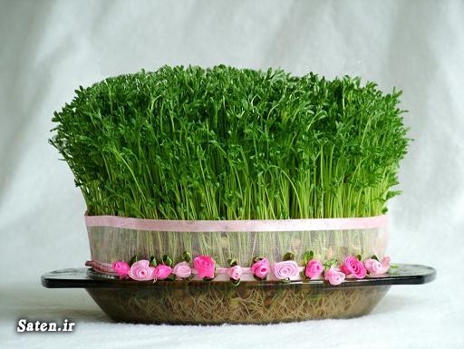 آقای شهردار! هم سبزه سبز می&zwnj;کنیم هم درخت می&zwnj;کاریم/ شما نیز چنین کنید