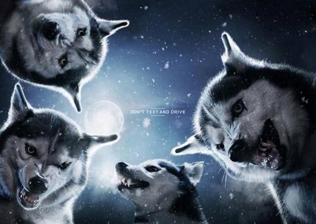 تصاویر جالب از تبلیغات اجتماعی خوب و حرفه&zwnj;ای