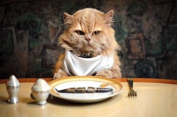 کاهش مصرف کربوهیدارت&zwnj;ها بدون تجربه نوسانات خلقی