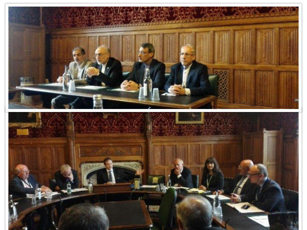 حضور صالحی در کمیته روابط خارجی مجلس انگلیس (+عکس)