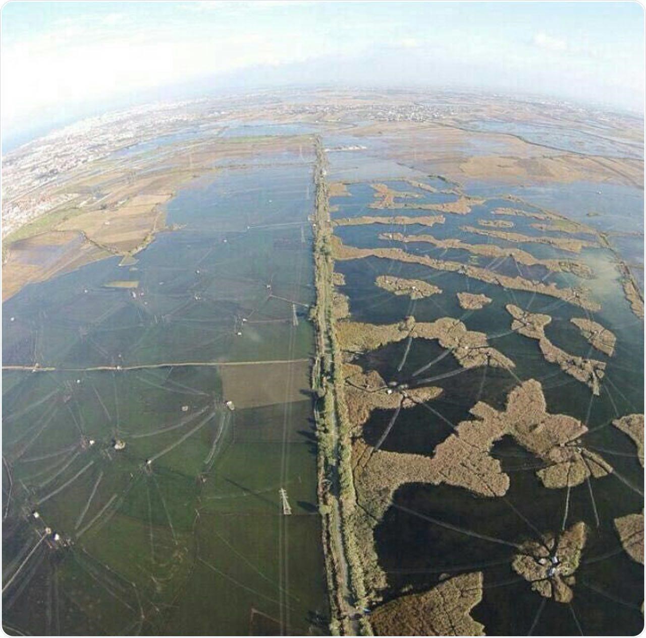 قتلگاه پرندگان در فریدونکنار (+عکس)