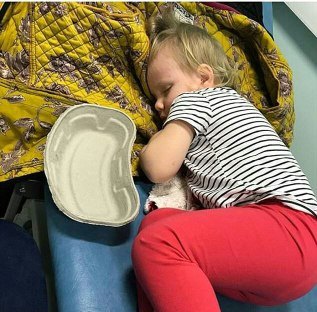 بیماری مرگبار در چنگ گربههای خانگی (+عکس) بیماری مرگبار در چنگ گربههای خانگی (+عکس)