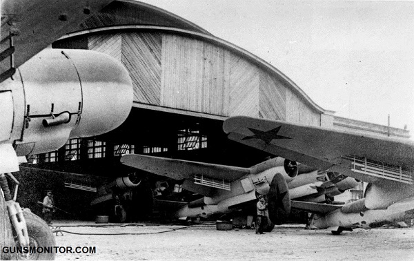 جوجه تیغی آتشین؛ خلاقیت متفاوت روسی!(+تصاویر)