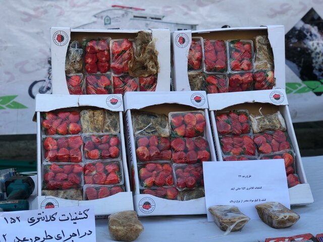 کشف تریاک&zwnj;فرنگی در تره&zwnj;بار (+عکس)