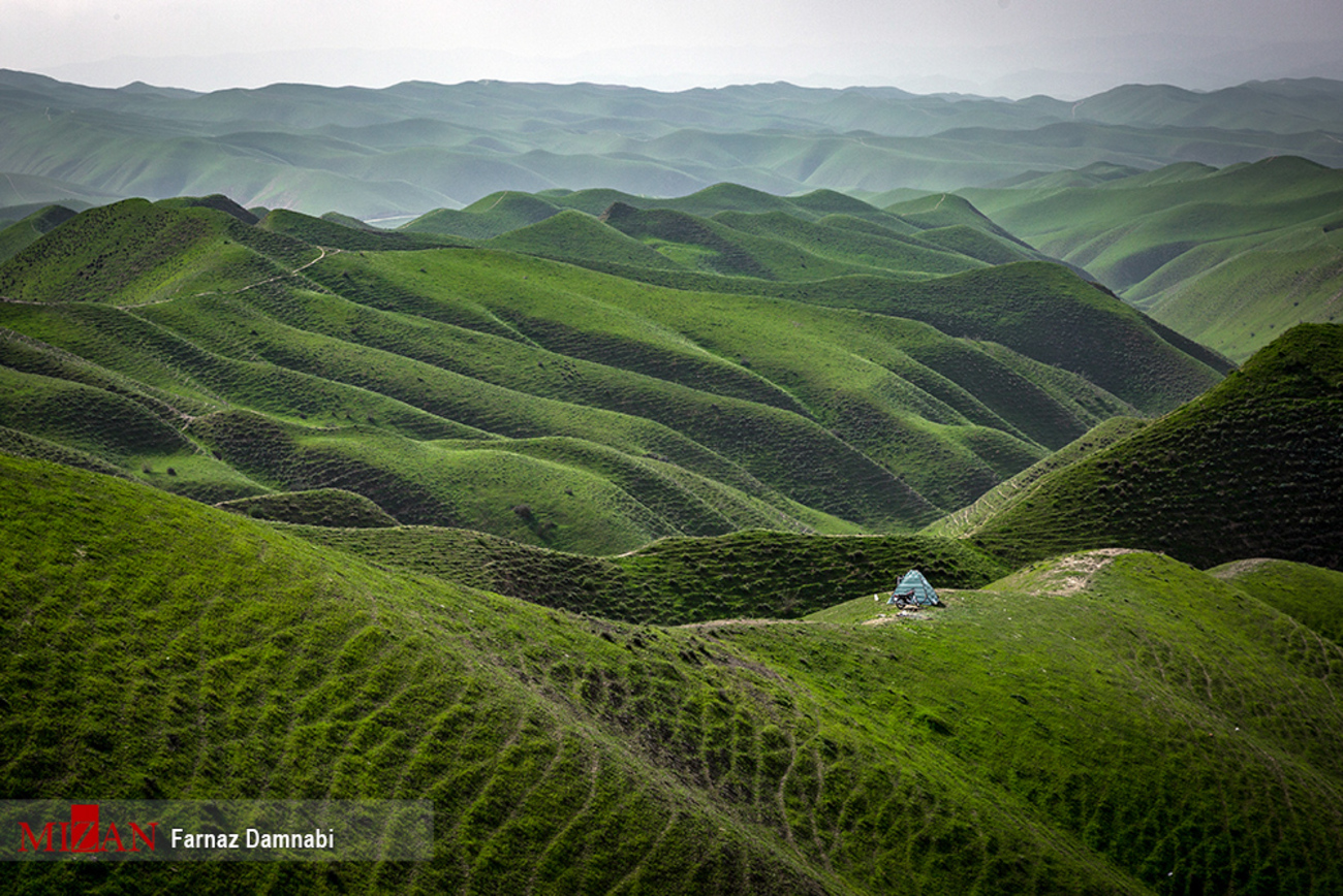 طبیعت گلستان (عکس)