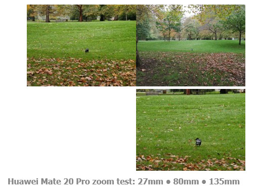 ررسی کاربردی دوربین گوشی Huawei 20