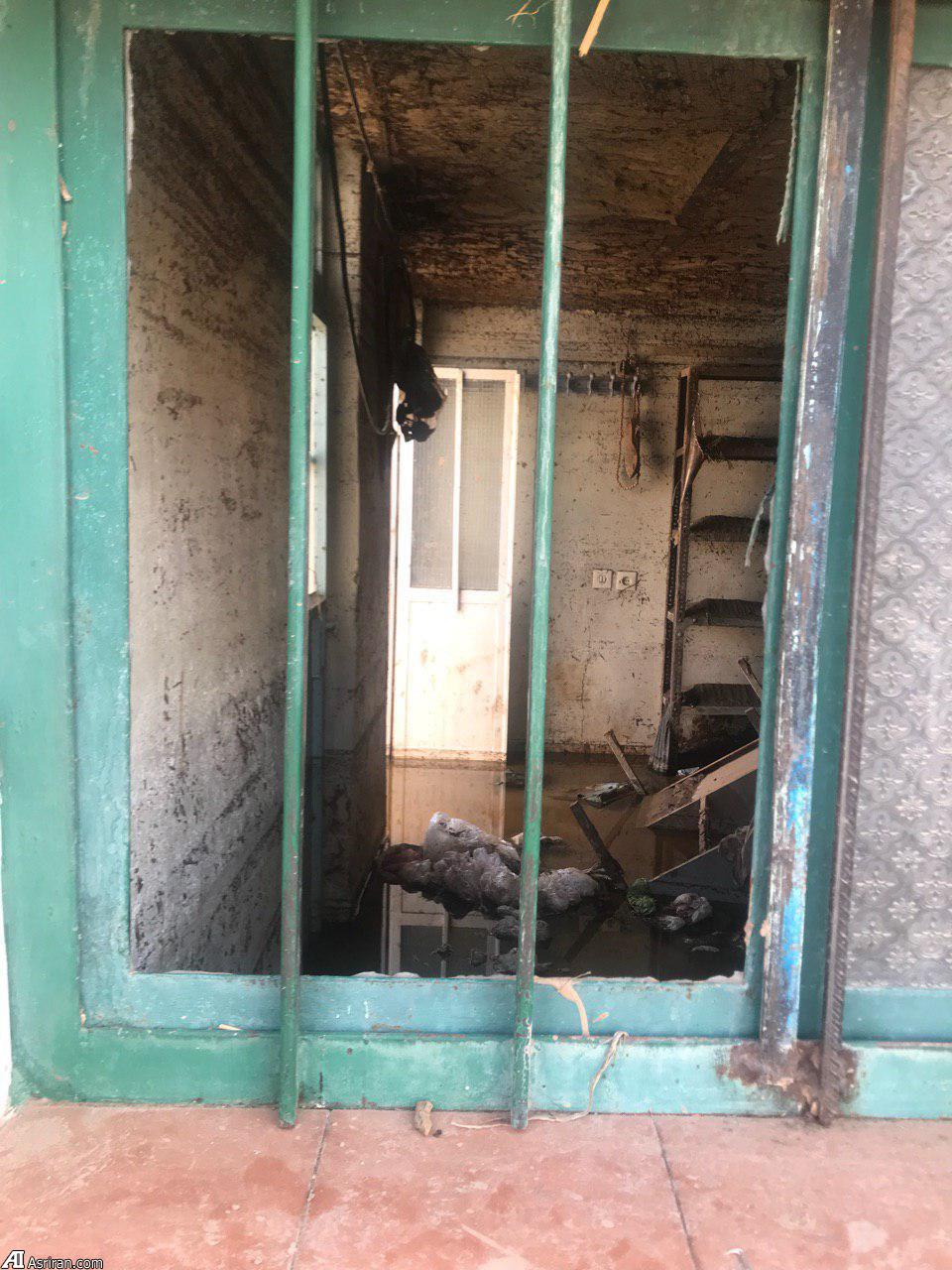 اهالی ده هنوز هم دل نکنده&zwnj;اند از &laquo;بابازید&raquo; سیل زده!