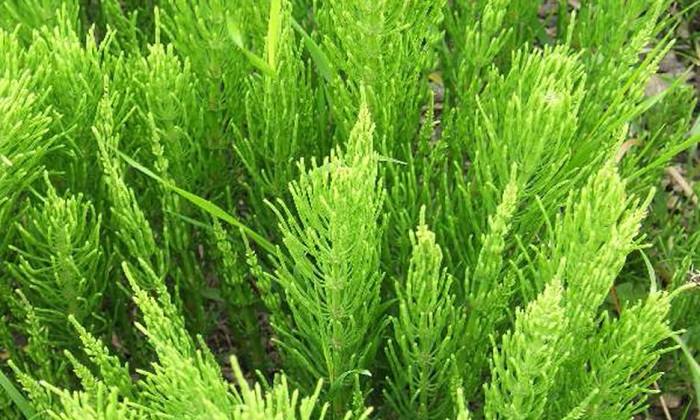 5 روش خانگی برای مقابله با بوی بد پا