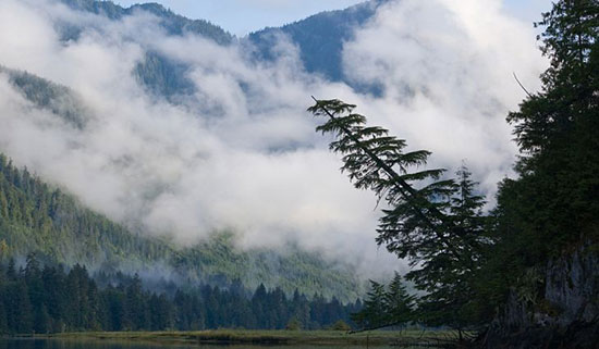 دریاچه خرس بزرگ