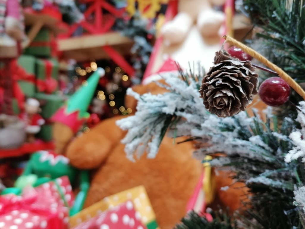 عملکرد قابل توجه دوربین گوشی&zwnj; HUAWEI Y9s به عنوان یک گوشی مقرون به صرفه