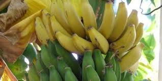 تخریب صددرصدی پایتخت 